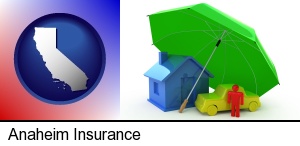 types of insurance in Anaheim, CA