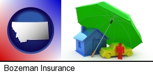 Bozeman, Montana - types of insurance