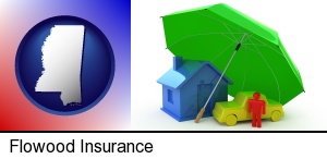 types of insurance in Flowood, MS