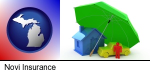 types of insurance in Novi, MI
