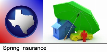 types of insurance in Spring, TX