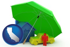 types of insurance - with CA icon
