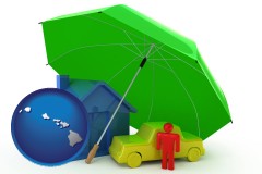 hawaii map icon and types of insurance