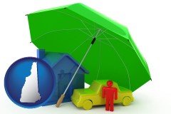 types of insurance - with NH icon