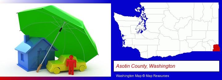 types of insurance; Asotin County, Washington highlighted in red on a map