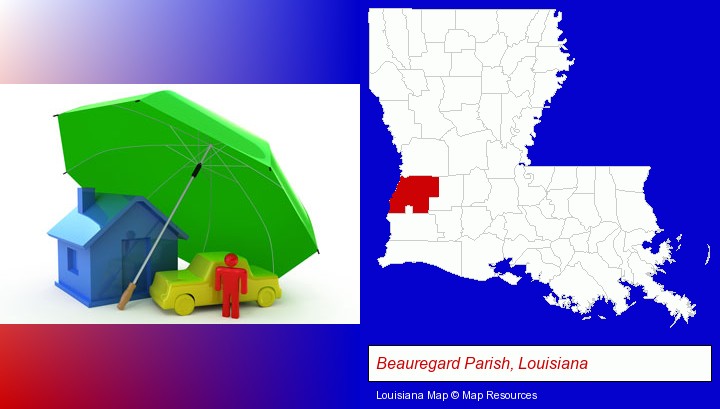types of insurance; Beauregard Parish, Louisiana highlighted in red on a map