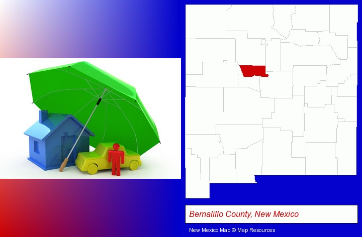 types of insurance; Bernalillo County, New Mexico highlighted in red on a map