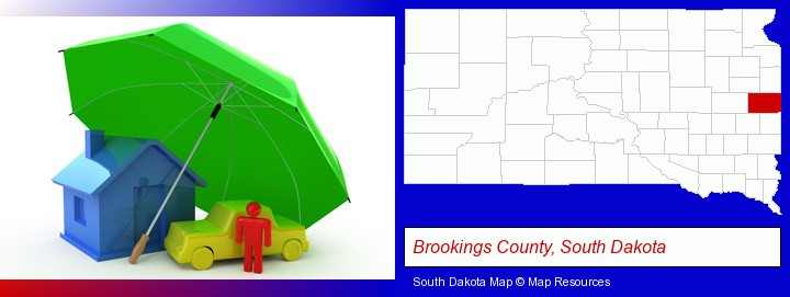 types of insurance; Brookings County, South Dakota highlighted in red on a map