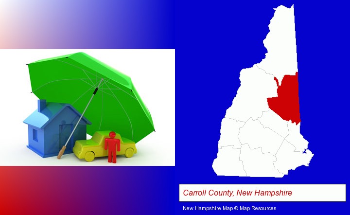 types of insurance; Carroll County, New Hampshire highlighted in red on a map
