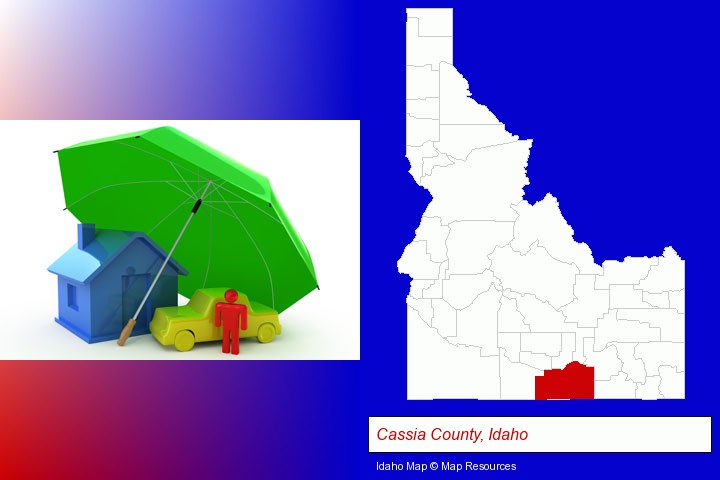 types of insurance; Cassia County, Idaho highlighted in red on a map