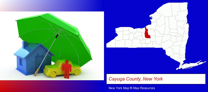 types of insurance; Cayuga County, New York highlighted in red on a map