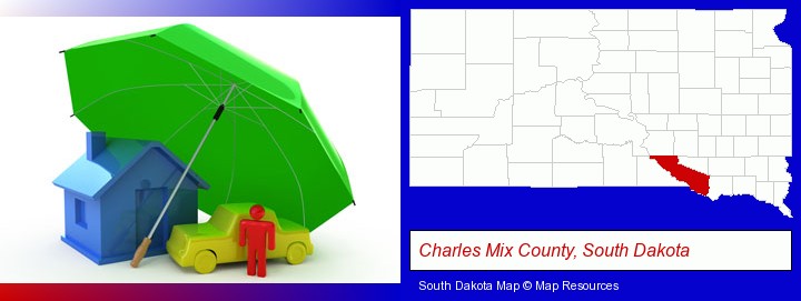 types of insurance; Charles Mix County, South Dakota highlighted in red on a map