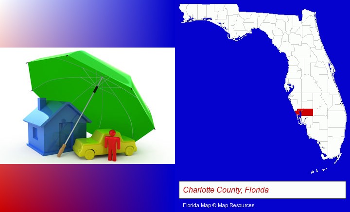 types of insurance; Charlotte County, Florida highlighted in red on a map