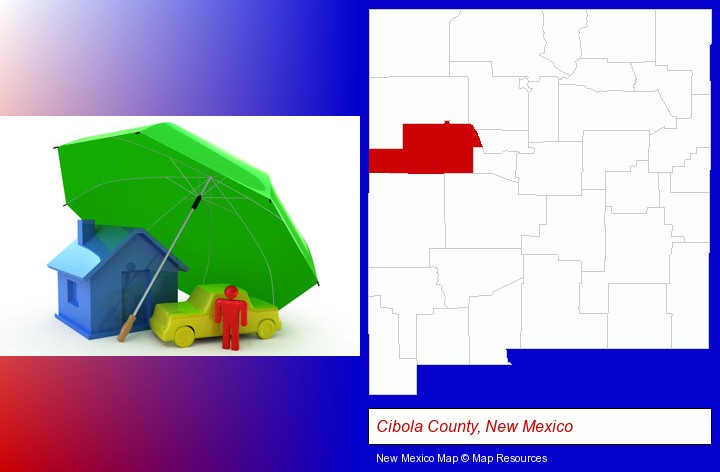 types of insurance; Cibola County, New Mexico highlighted in red on a map