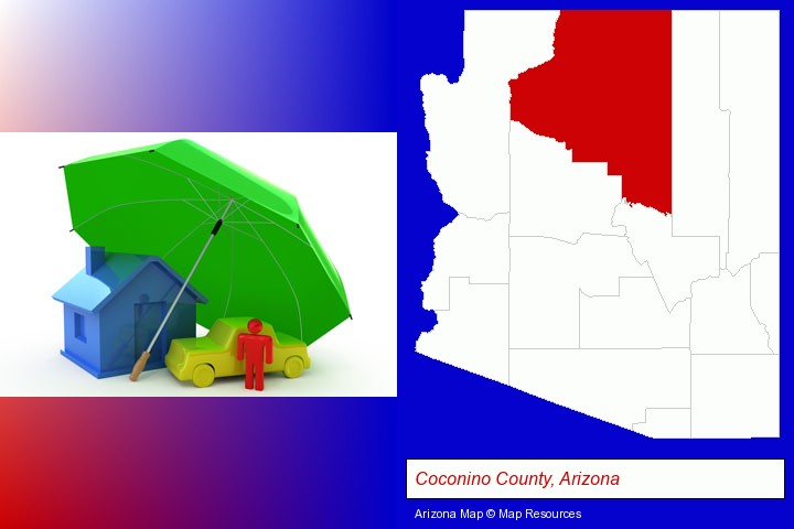 types of insurance; Coconino County, Arizona highlighted in red on a map
