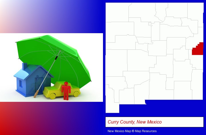 types of insurance; Curry County, New Mexico highlighted in red on a map