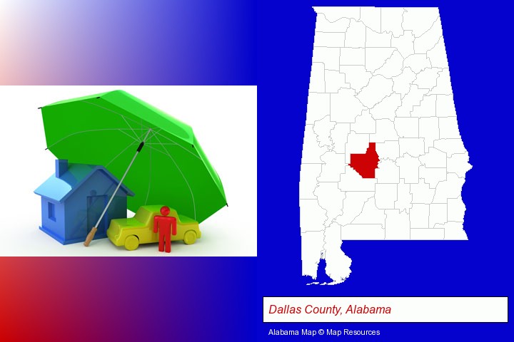 types of insurance; Dallas County, Alabama highlighted in red on a map