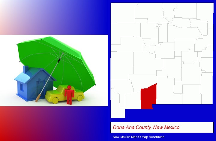 types of insurance; Dona Ana County, New Mexico highlighted in red on a map