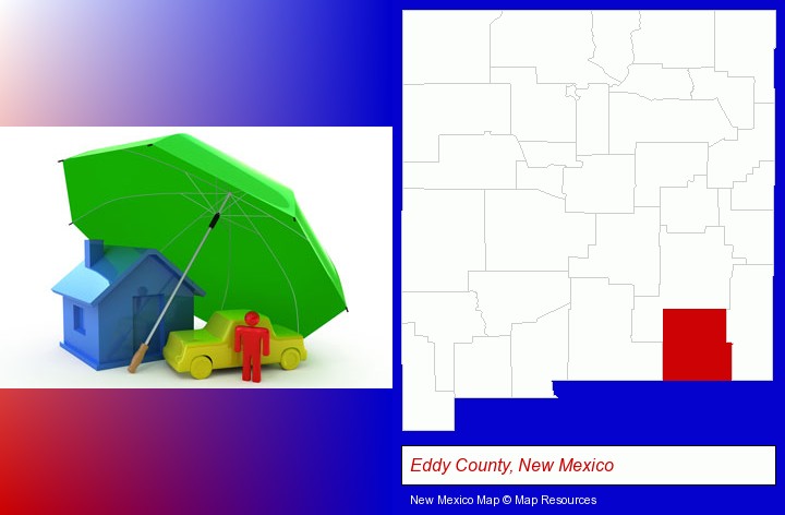 types of insurance; Eddy County, New Mexico highlighted in red on a map