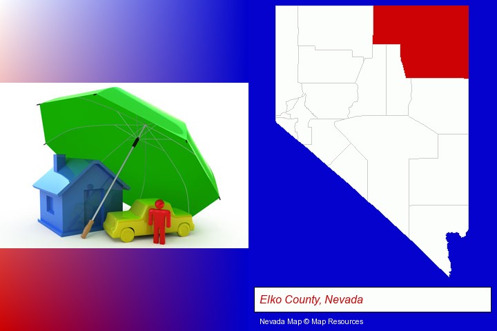 types of insurance; Elko County, Nevada highlighted in red on a map