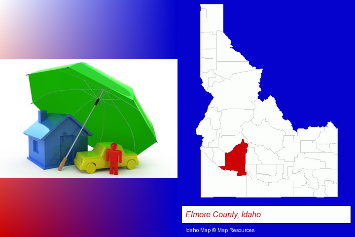 types of insurance; Elmore County, Idaho highlighted in red on a map