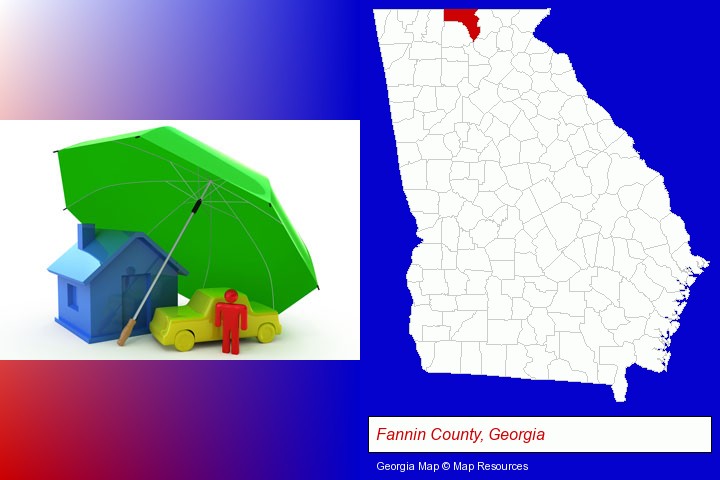 types of insurance; Fannin County, Georgia highlighted in red on a map