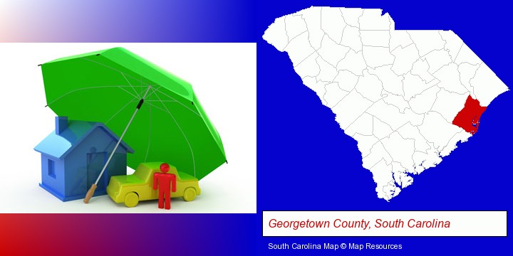 types of insurance; Georgetown County, South Carolina highlighted in red on a map