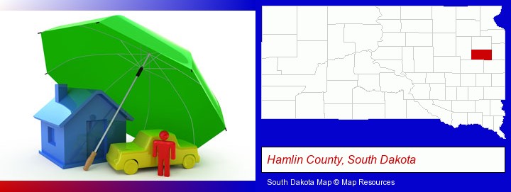types of insurance; Hamlin County, South Dakota highlighted in red on a map