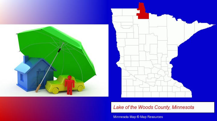 types of insurance; Lake of the Woods County, Minnesota highlighted in red on a map