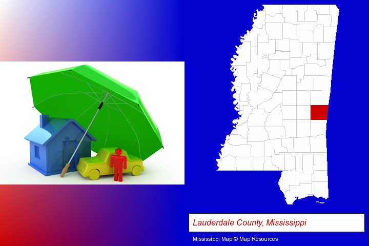 types of insurance; Lauderdale County, Mississippi highlighted in red on a map