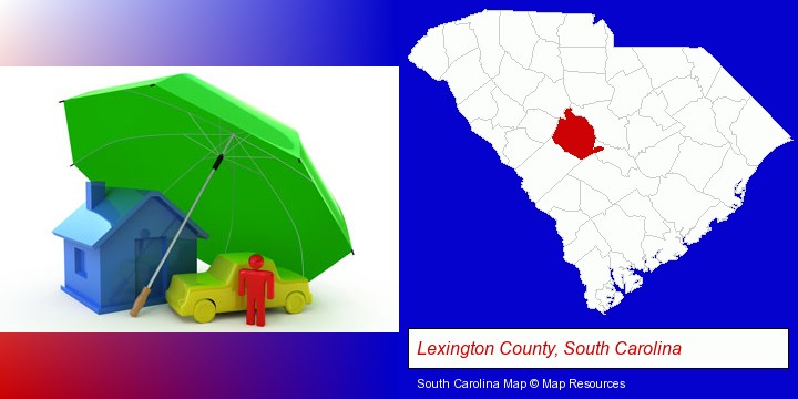 types of insurance; Lexington County, South Carolina highlighted in red on a map