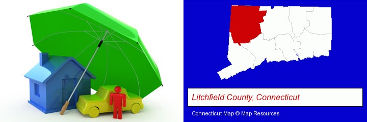 types of insurance; Litchfield County, Connecticut highlighted in red on a map