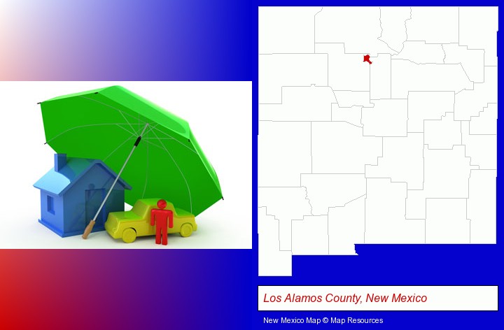 types of insurance; Los Alamos County, New Mexico highlighted in red on a map