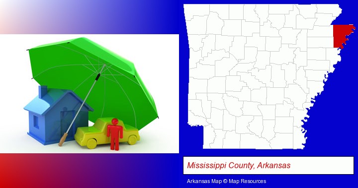 types of insurance; Mississippi County, Arkansas highlighted in red on a map