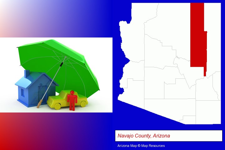 types of insurance; Navajo County, Arizona highlighted in red on a map