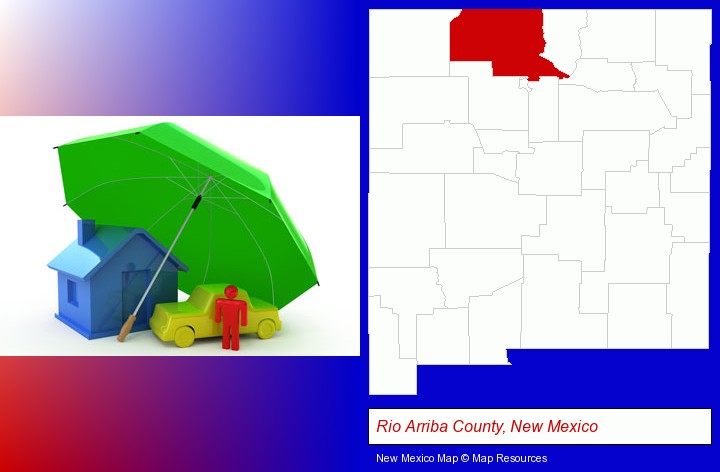 types of insurance; Rio Arriba County, New Mexico highlighted in red on a map
