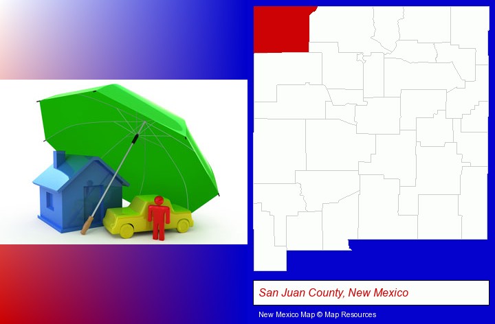 types of insurance; San Juan County, New Mexico highlighted in red on a map