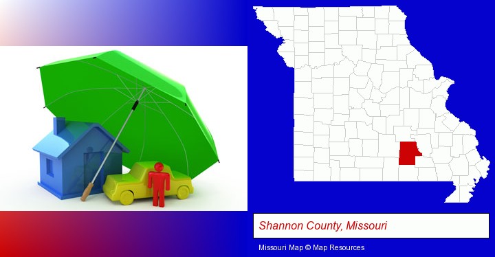 types of insurance; Shannon County, Missouri highlighted in red on a map