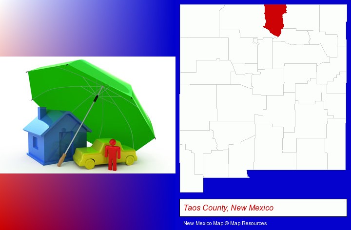 types of insurance; Taos County, New Mexico highlighted in red on a map