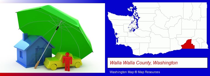 types of insurance; Walla Walla County, Washington highlighted in red on a map