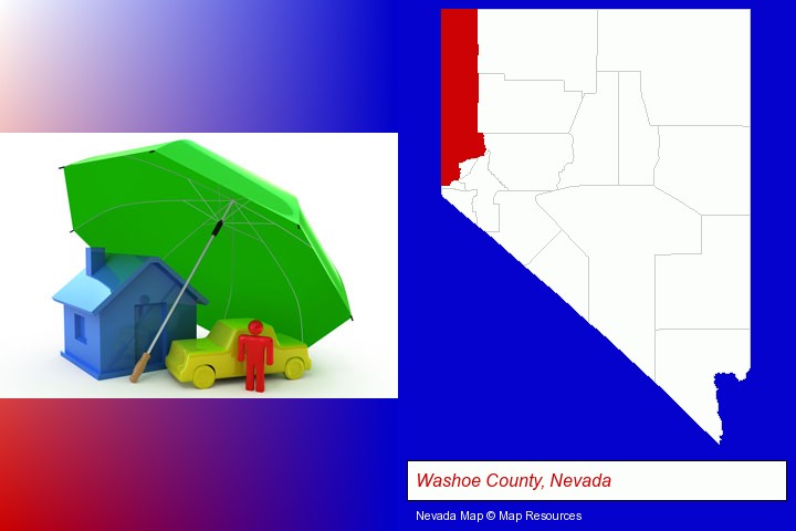 types of insurance; Washoe County, Nevada highlighted in red on a map
