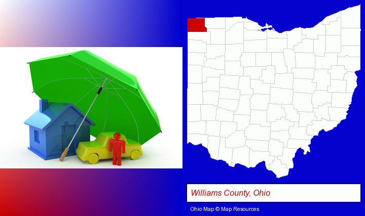 types of insurance; Williams County, Ohio highlighted in red on a map