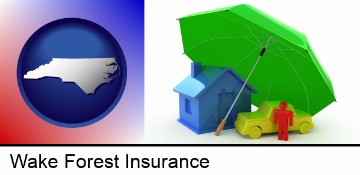 types of insurance in Wake Forest, NC