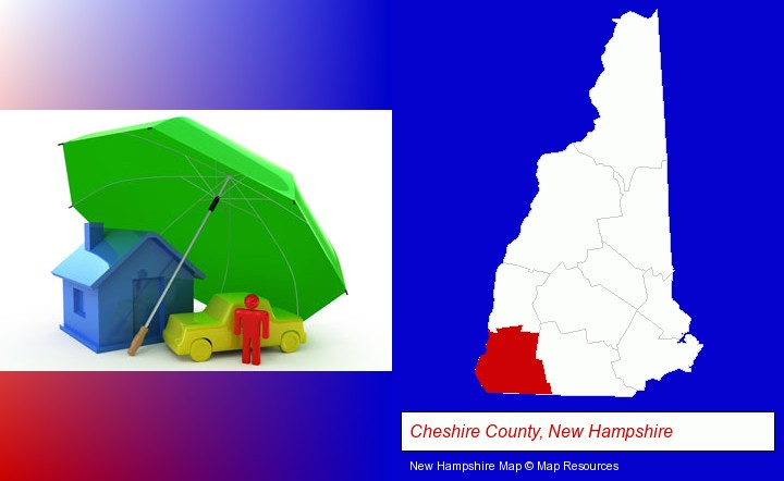 types of insurance; Cheshire County, New Hampshire highlighted in red on a map