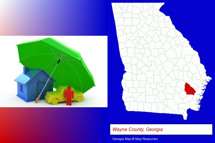 types of insurance; Wayne County, Georgia highlighted in red on a map